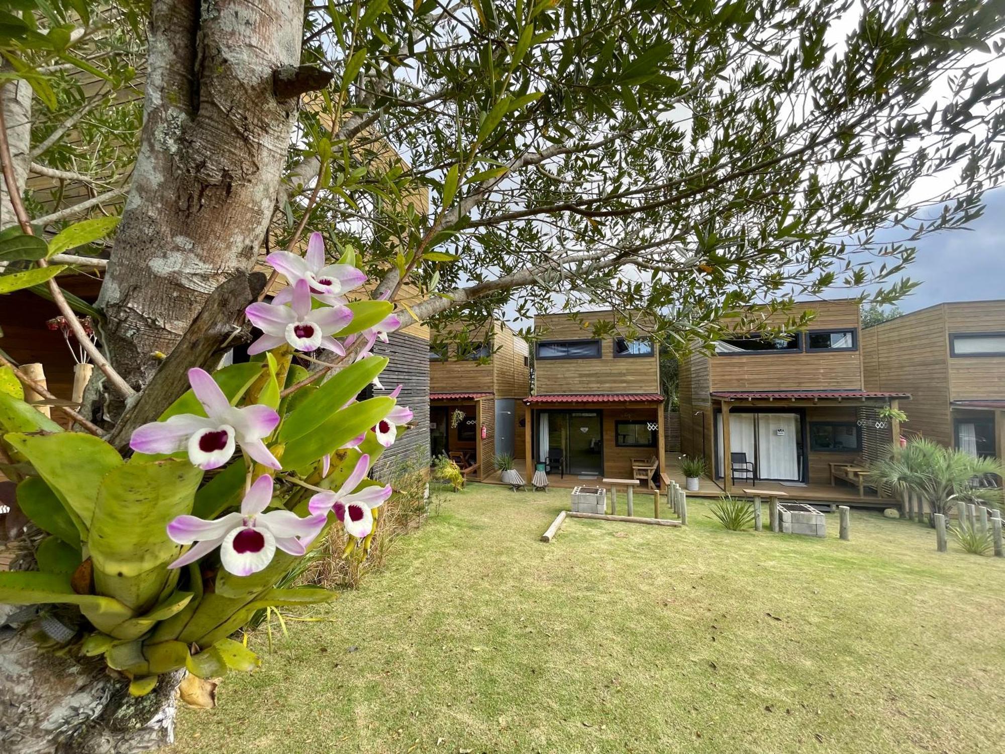 Rosa Lodge Lofts Praia do Rosa Zewnętrze zdjęcie